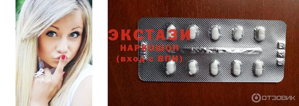 ECSTASY Богородицк