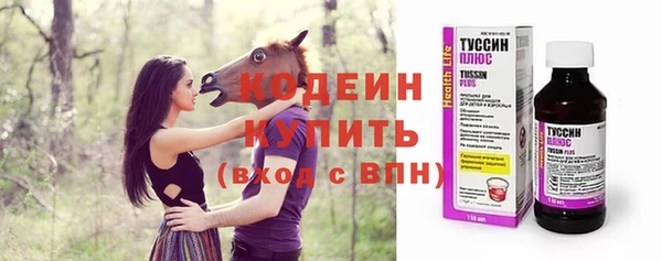 ECSTASY Богородицк