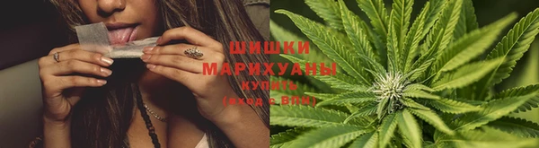 ECSTASY Богородицк
