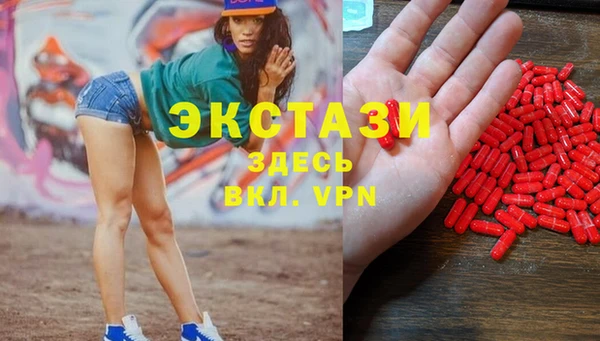 ECSTASY Богородицк