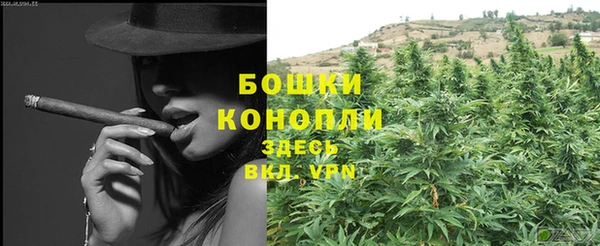 ECSTASY Богородицк