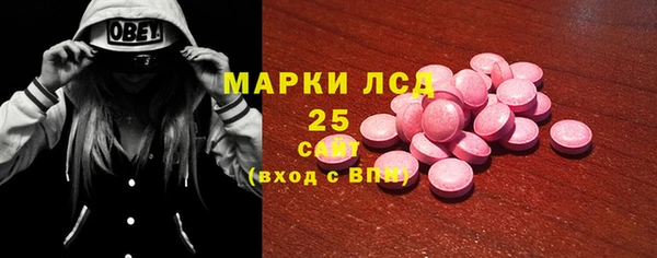 ECSTASY Богородицк