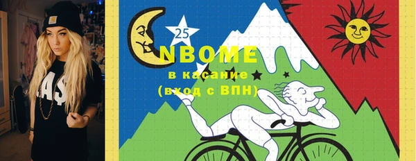 ECSTASY Богородицк